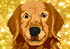 Talking New Year Retriever (Personalize)