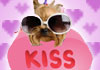 A Yorkie with sunglasses holding a sign that says Kiss Me.