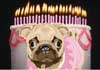Carlin d'anniversaire parlant (Personnalisez)
