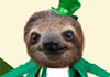 A sloth wearing a dapper green suit, with a matching top hat. He's holding up a pint glass to salute the viewer of this funny St. Patrick's Day ecard.