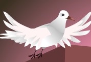 A white dove flies out of an open gift box to bring peace for the New Year. The ecard title New Years Wishes is written above it.