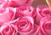 This beautiful ecard thumbnail features a bouquet of pink roses, in a wicker basket.
