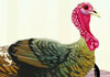 Thanksgiving Twerky