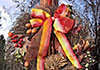 Bountiful Thanksgiving Wishes