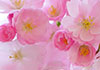 Mothers Day Love & Warmth