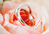 A soft pink rose with two silver wedding bands in the center of the bloom.