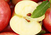 Rosh Hashana Good Luck