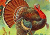 Old Tyme Thanksgiving