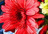 Old Tyme Sweetest Day - Lovers