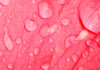 This Valentine's Day greeting card shows an extreme close up of a pink rose petal with drops of dew on it. At the top in cursive writing is the title, 