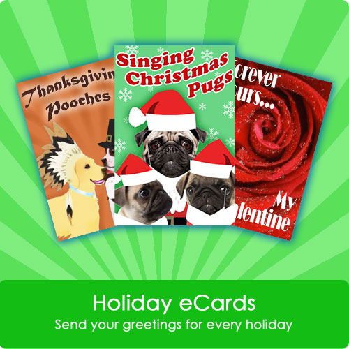 Holiday eCards